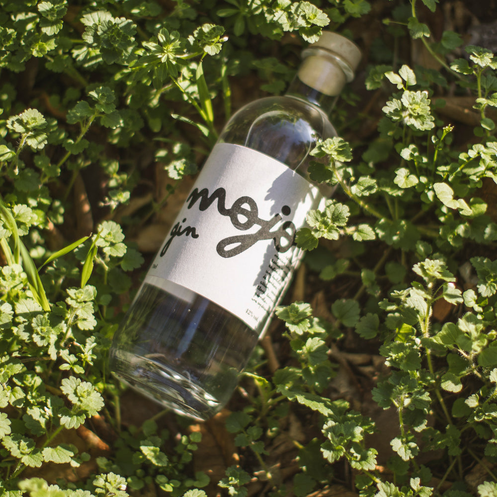 
                  
                    Gin Mojo
                  
                
