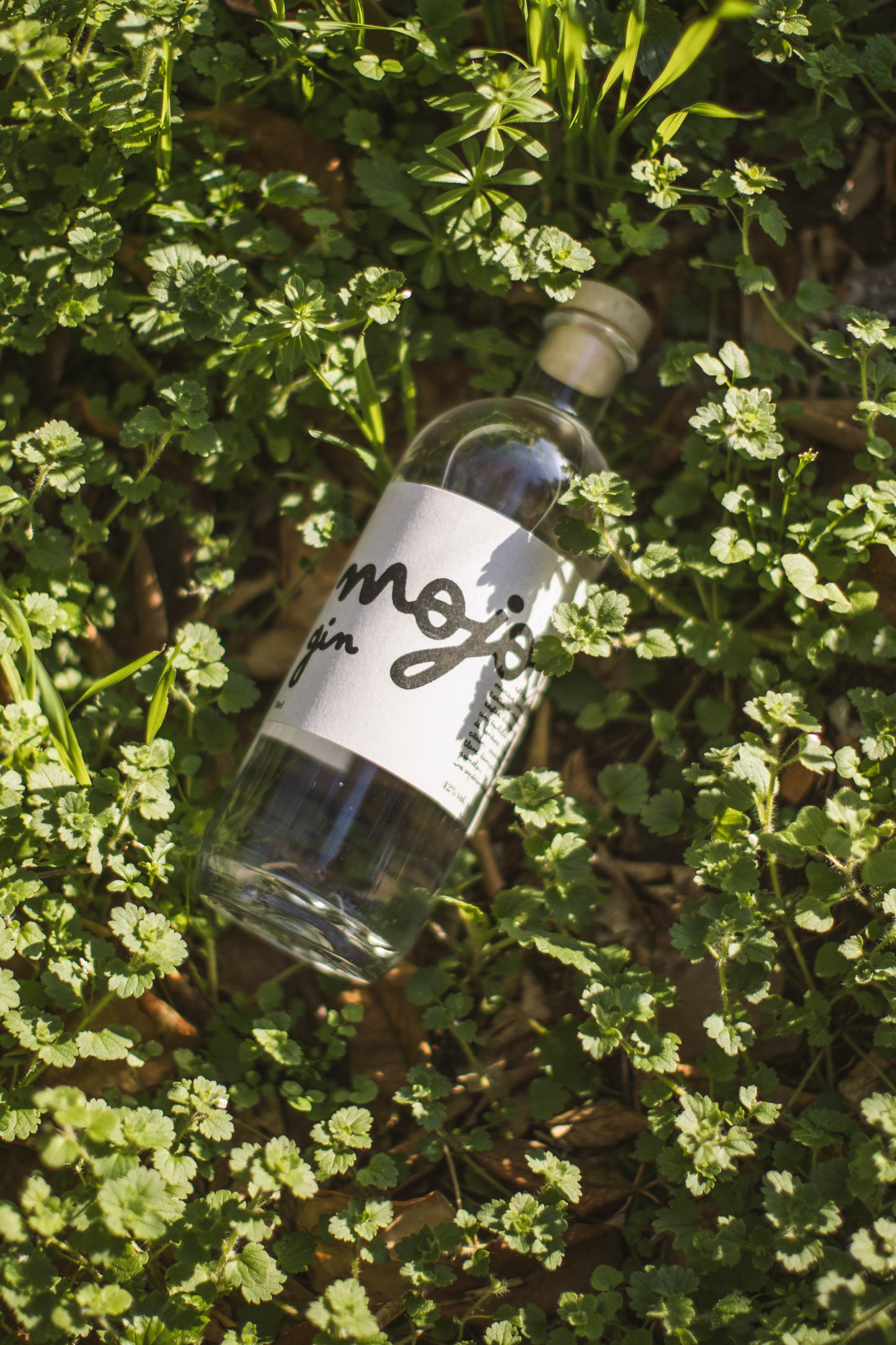 
                  
                    Gin Mojo
                  
                